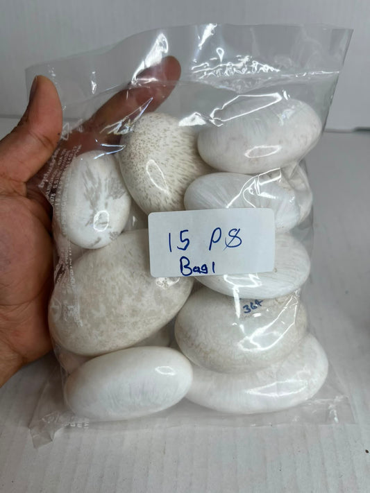 WHITE SCOLECITE PALMSTONES BAG 1 - 1 KG, 15 PCS