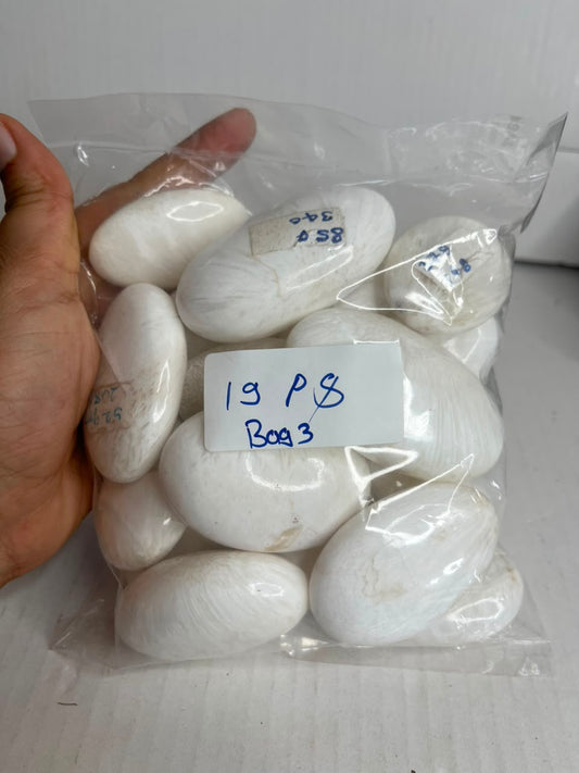 WHITE SCOLECITE PALMSTONES BAG 3 - 1 KG, 19 PCS