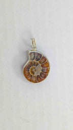 Ammonite Pendant – A Timeless Fossil of Growth & Positive Energy