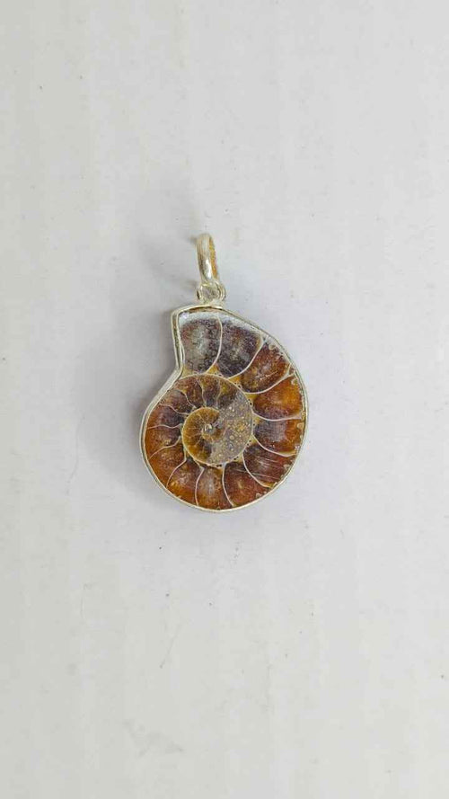 Ammonite Pendant – A Timeless Fossil of Growth & Positive Energy