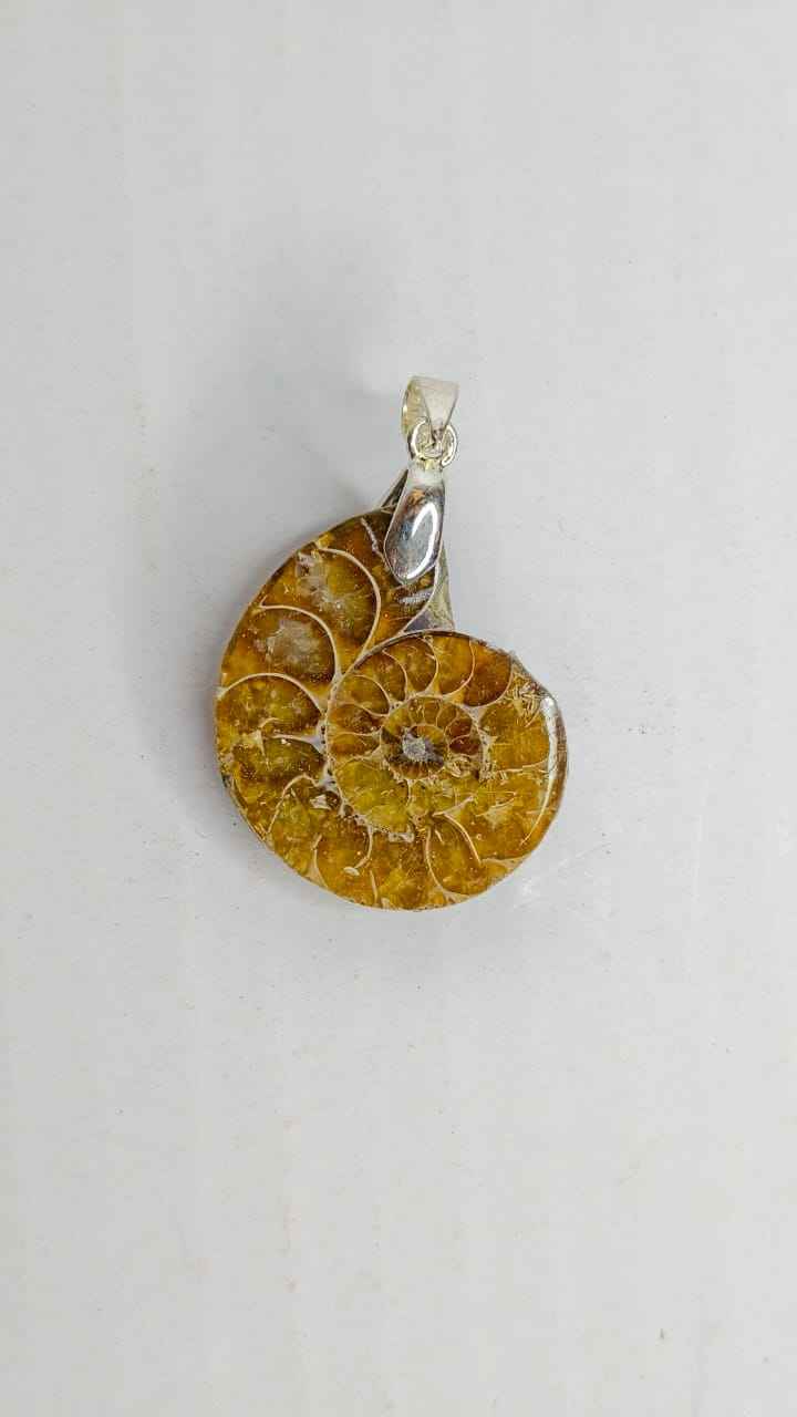 Ammonite Pendant – A Timeless Fossil of Growth & Positive Energy