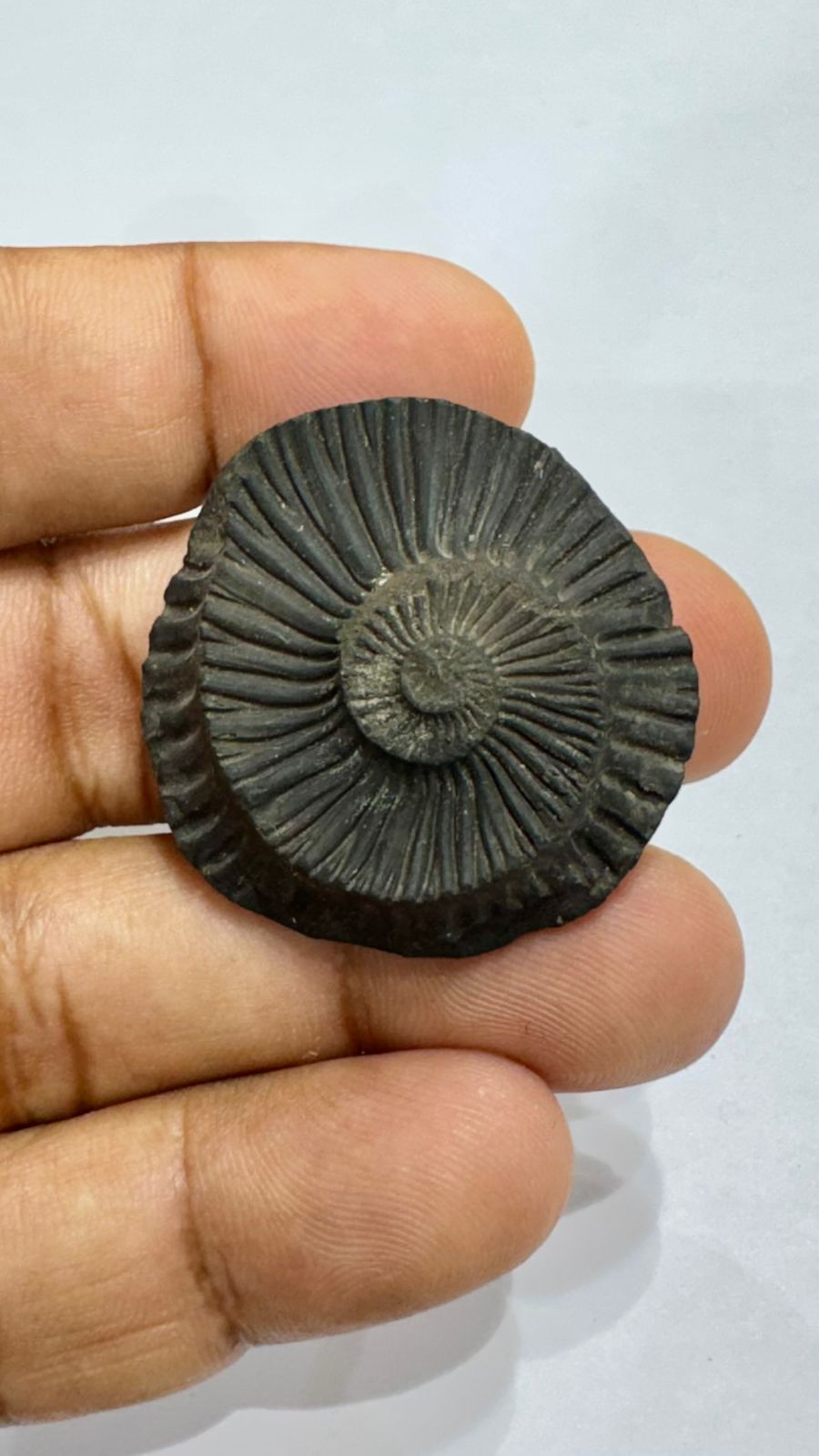 Shaligram 4000/- 50% off