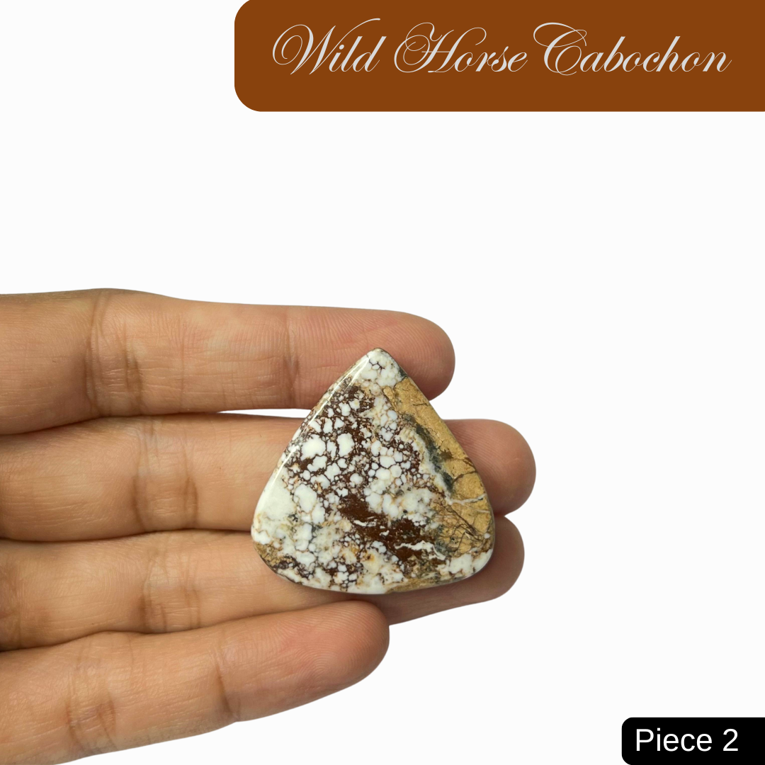 Wild Horse  Cabochons - AEORA ROCKS INDIA -Healing Crystals superstore