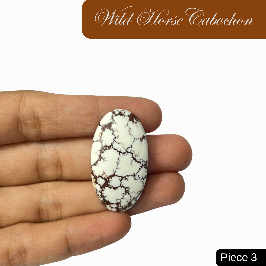Wild Horse  Cabochons - AEORA ROCKS INDIA -Healing Crystals superstore