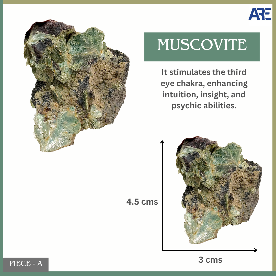 Muscovite