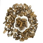 Bronzite Tumbled Stone - AEORA ROCKS INDIA - Healing Crystals superstore