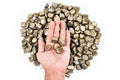 Buy Natural Pyrite Tumbled Stone in India - Aeora Rocks