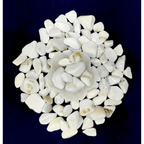 Cacholong Opal Tumbled Stone - AEORA ROCKS INDIA - Healing Crystals superstore