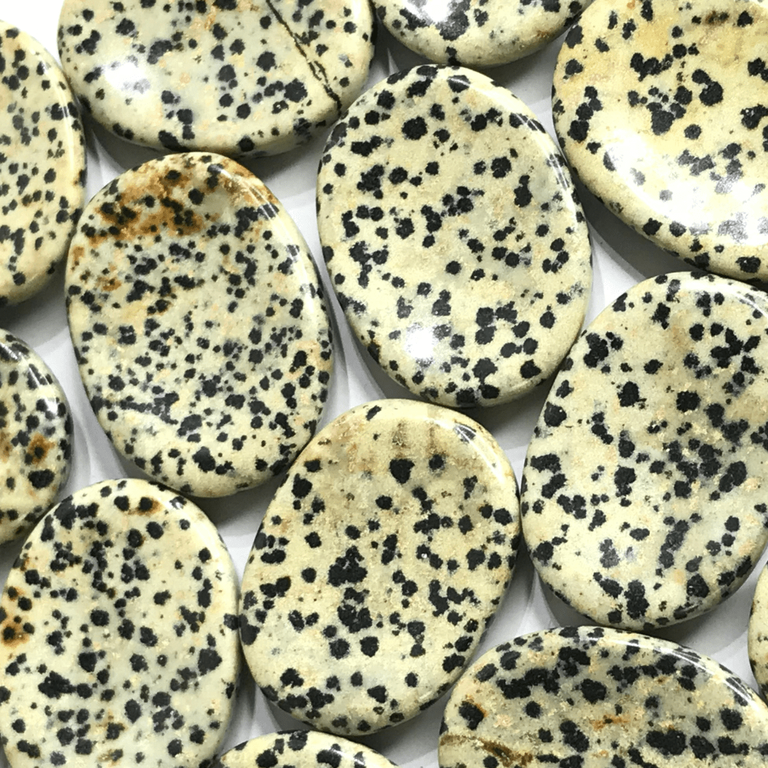 Dalmatian Jasper Worry Stone - AEORA ROCKS INDIA - Healing Crystals superstore