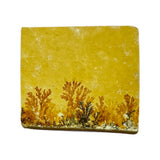Limestone