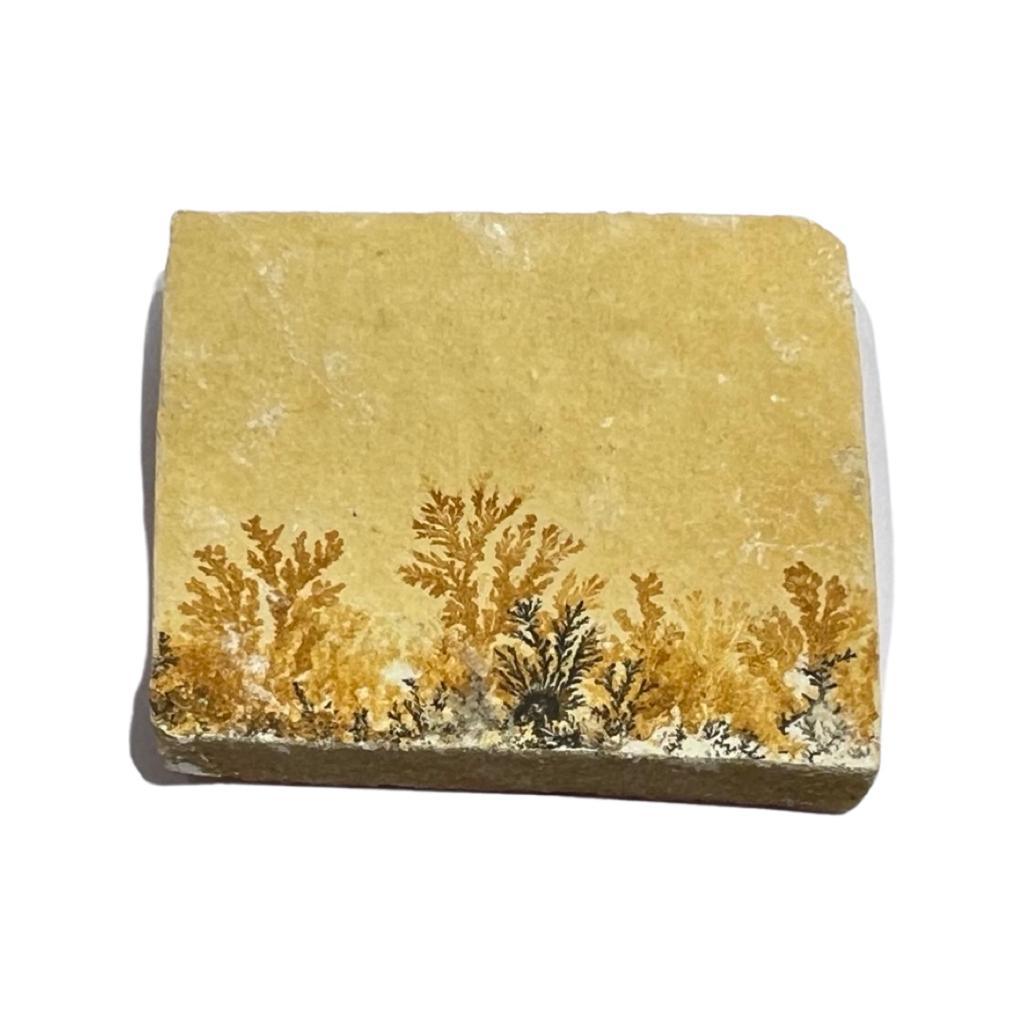 Limestone in India - Aeora Rocks - AEORA ROCKS INDIA - Healing Crystals superstore