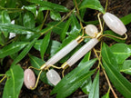 Rose Quartz Roller in india - Aeora Rocks - AEORA ROCKS INDIA - Healing Crystals superstore
