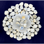 Scheelite Tumble Stone - AEORA ROCKS INDIA - Healing Crystals superstore