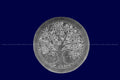 Selenite Tree Design Charging Plate - AEORA ROCKS INDIA - Healing Crystals superstore