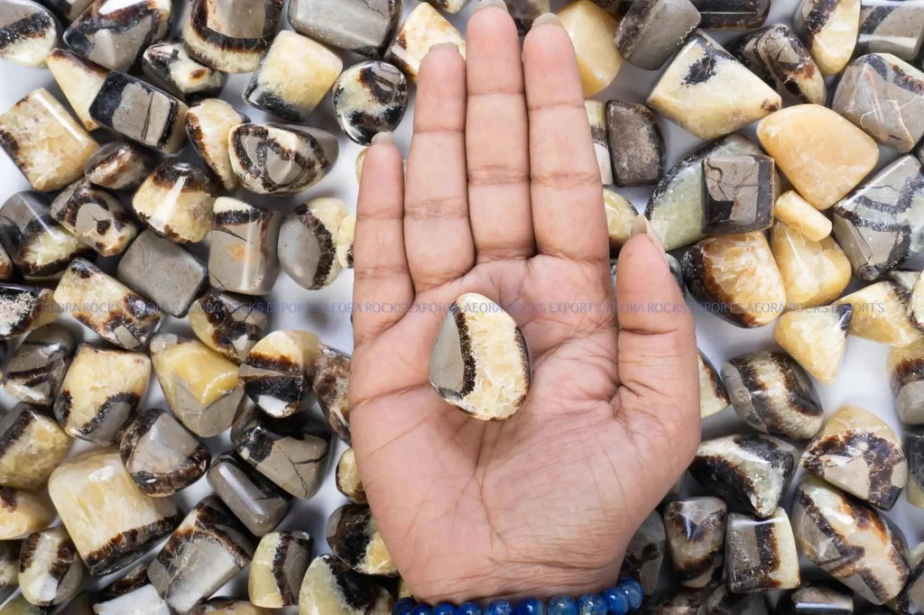 Septarian Tumbled Stone in India - Aeora Rocks