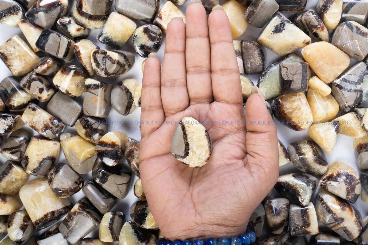 Septarian Tumbled Stone in India - Aeora Rocks