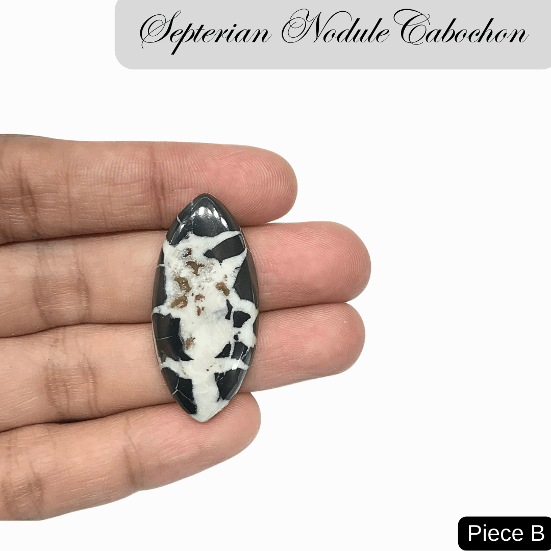 Septerian Nodule Cabochons - AEORA ROCKS INDIA - Healing Crystals superstore