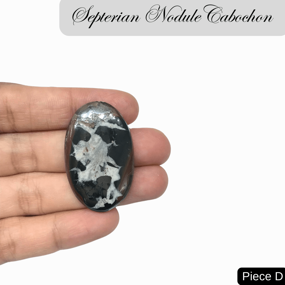 Septerian Nodule Cabochons - AEORA ROCKS INDIA - Healing Crystals superstore