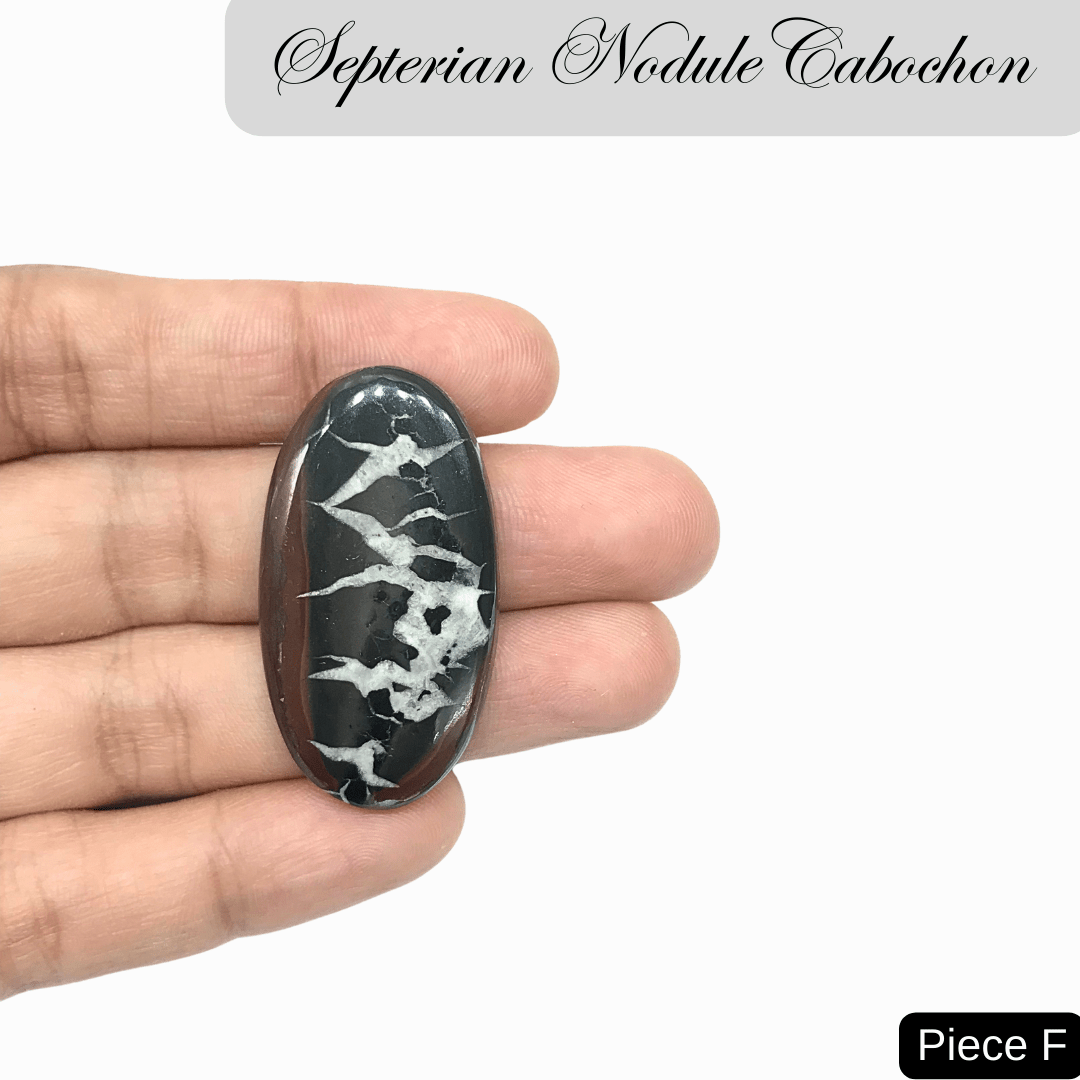 Septerian Nodule Cabochons - AEORA ROCKS INDIA - Healing Crystals superstore