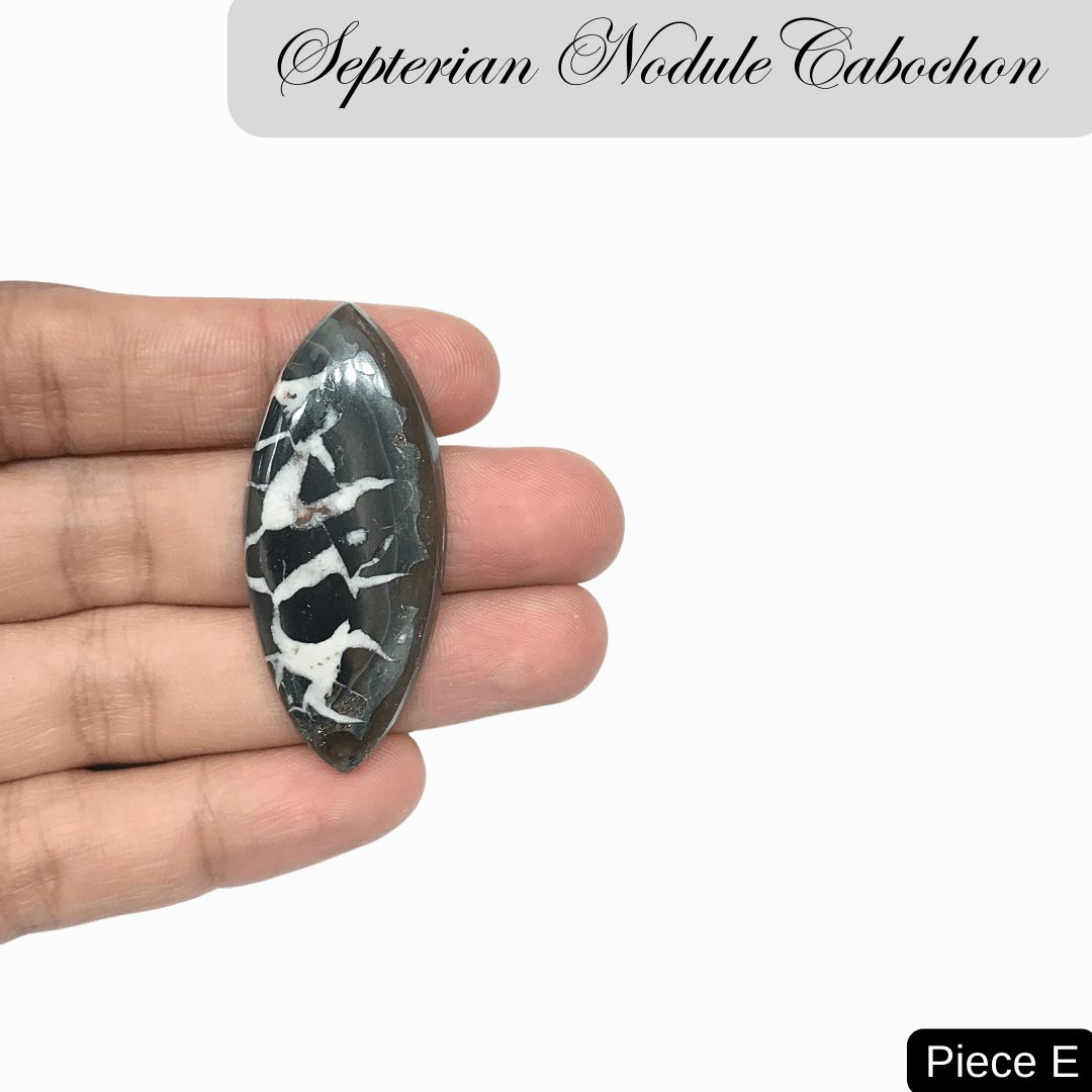 Septerian Nodule Cabochons - AEORA ROCKS INDIA - Healing Crystals superstore