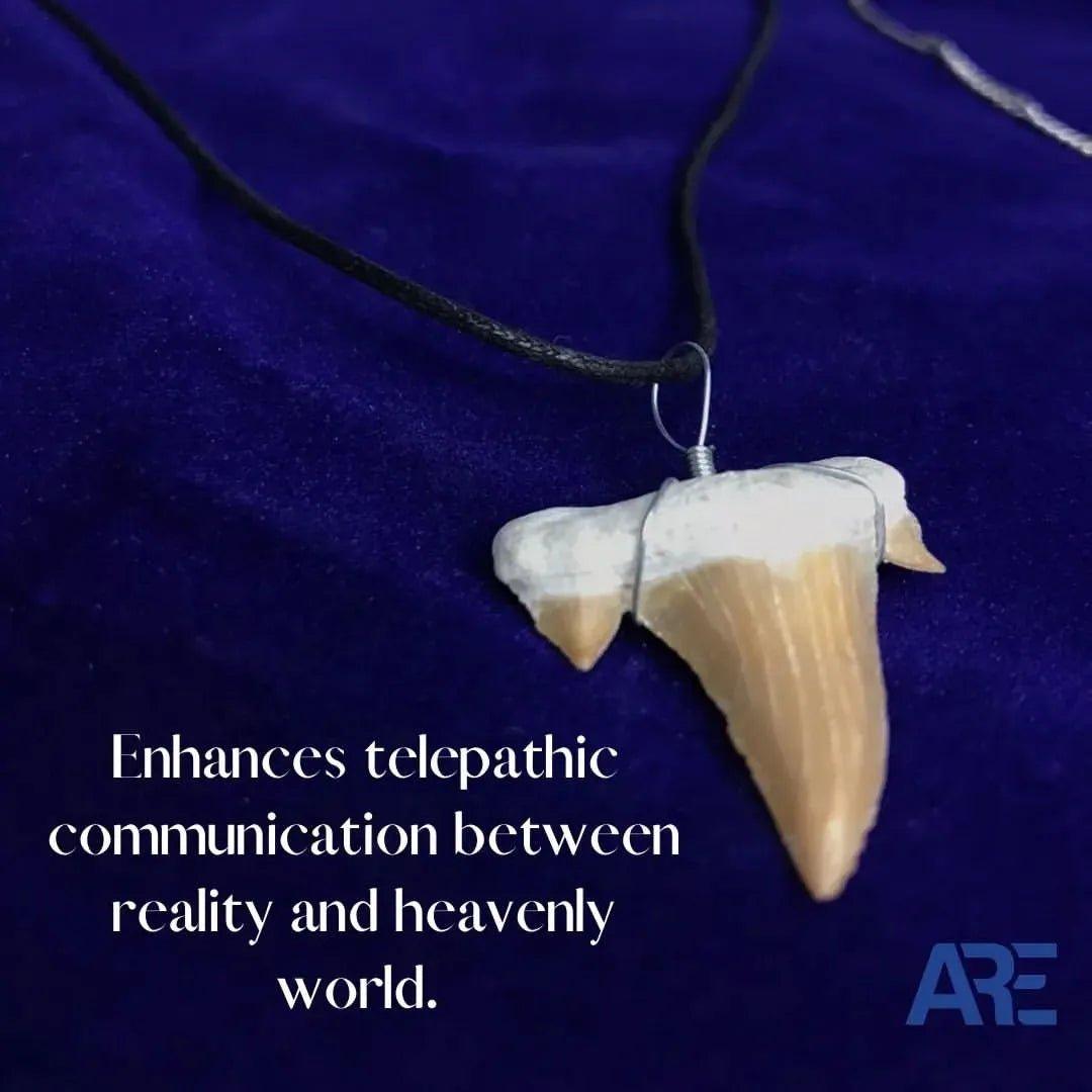 Shark Tooth Pendant - AEORA ROCKS INDIA - Healing Crystals superstore