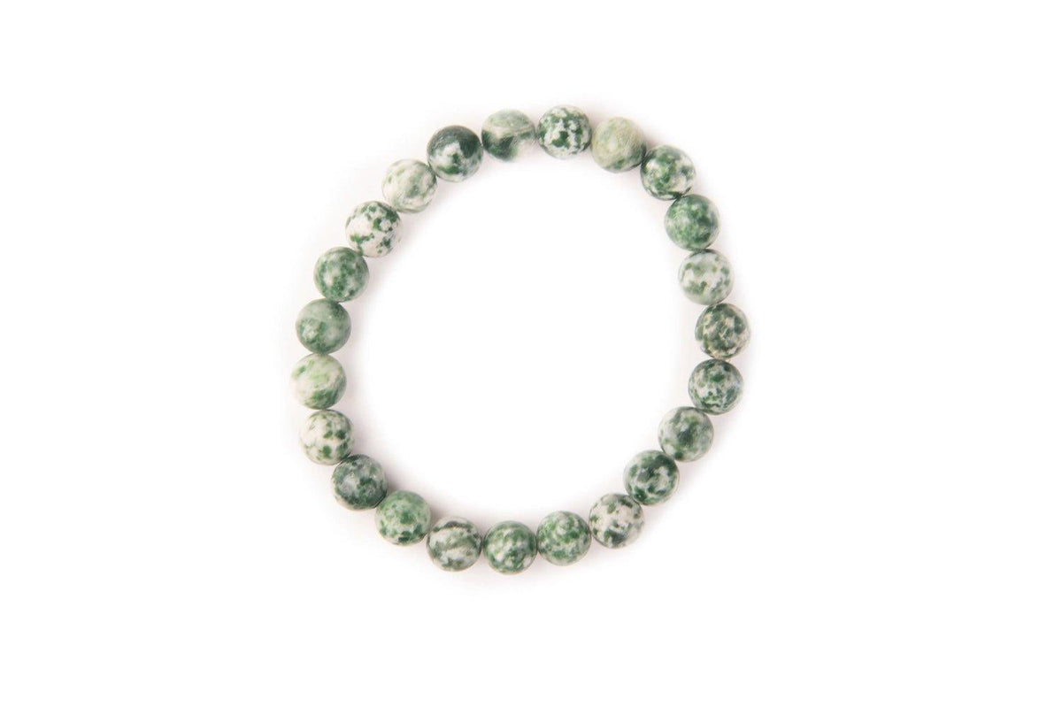 Tree Agate Bead Bracelet 8mm in India - Aeora Rocks - AEORA ROCKS INDIA - Healing Crystals superstore