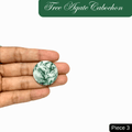 Hand holding a round Tree Agate cabochon featuring soothing green and white marbled patterns for inner peace and emotional balance.